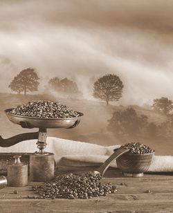 View of corn on table against trees