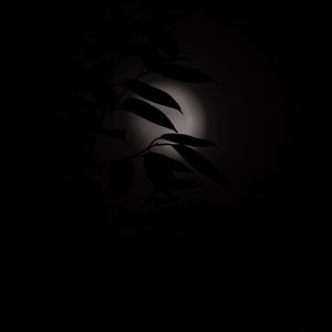 darkness