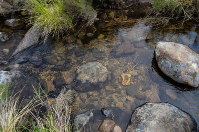 High angle view of stream