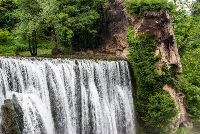 Scenic view of waterfall in forest