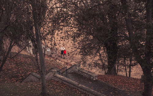High angle view of people walking on footpath by bare trees in forest