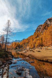 Scenic view of lake by trees against sky