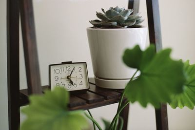 Close-up of potted plant and alarm clock on table at home