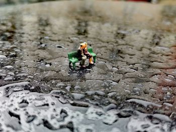 High angle view of small stuffed toy
