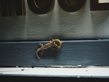 Pipe on wall
