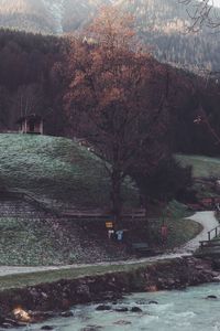 Scenic view of lake in forest during winter