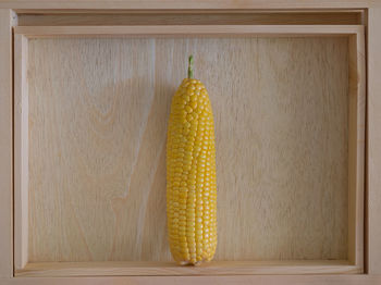 Yellow pepper hanging against wall