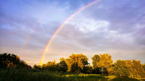 Scenic view of rainbow over field against sky