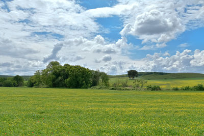 Scenic view of landscape against sky