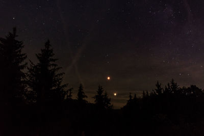 Low angle view of silhouette trees against sky at night