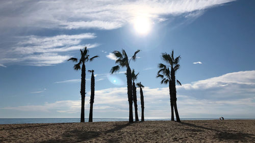 Palm trees on beach against sky