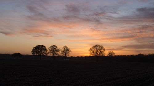 Silhouette trees on field against sky during sunset