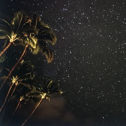 Low angle view of stars in sky at night