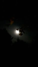 Silhouette birds flying against sky at night