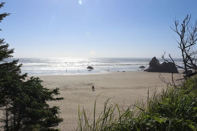 Scenic view of sea against clear sky