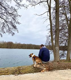 Rear view of man sitting on tree trunk with dog by lake