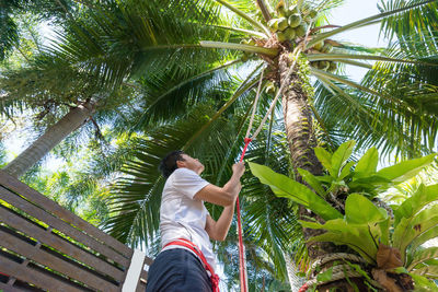 Low angle view of woman standing by palm tree