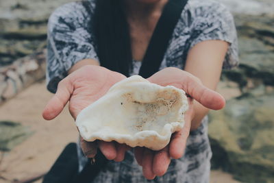 Close-up of hands holding shell