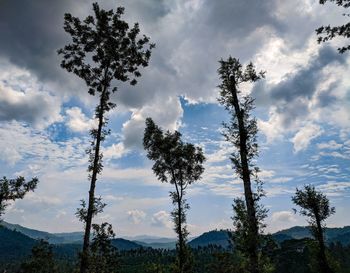 Low angle view of trees against sky