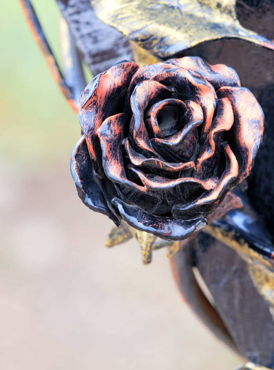 HIGH ANGLE VIEW OF WILTED ROSE IN PLANT