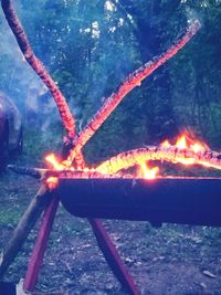 Close-up of illuminated fire at night