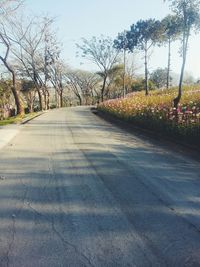 the way forward