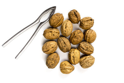 Close-up of food against white background