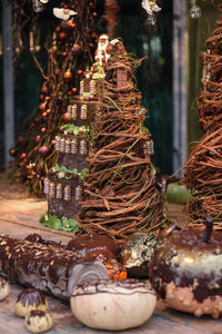 Close-up of illuminated christmas tree at night