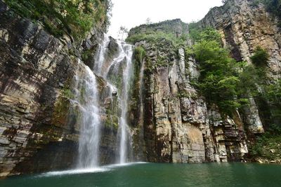 View of waterfall in forest