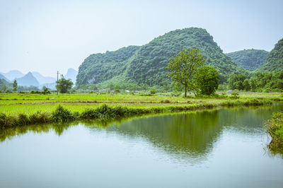 Scenic view of lake by field against clear sky