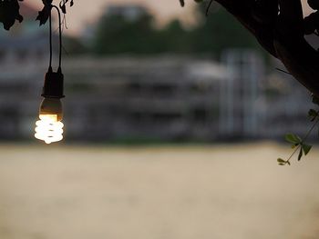 Close-up of light bulb hanging on street