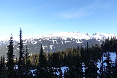 Scenic view of snowcapped mountains against blue sky