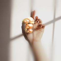 Cropped hand of woman holding pills