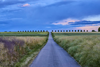 Road amidst field against sky