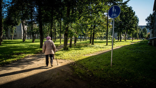 Rear view of man walking on footpath amidst trees