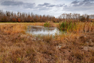 Scenic view of lake against sky