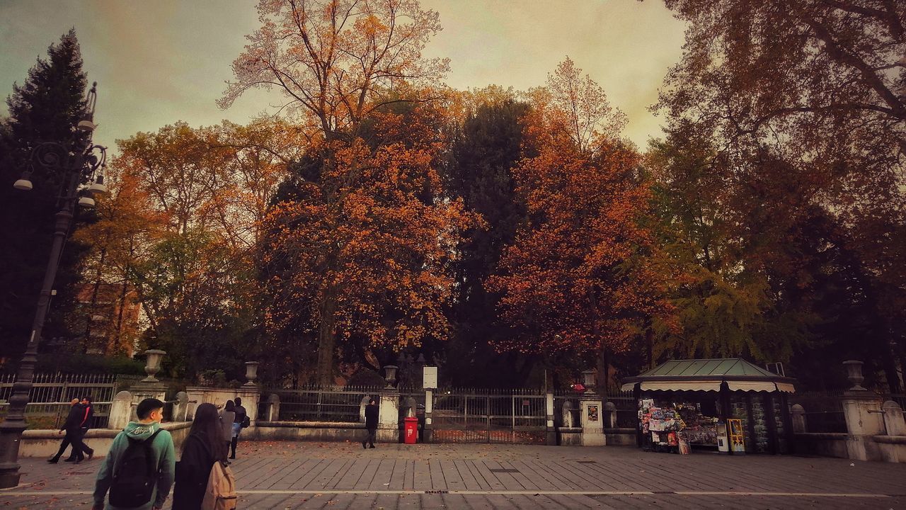 GROUP OF PEOPLE WALKING ON AUTUMN TREE