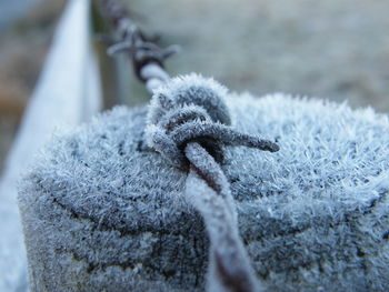 Close-up of frozen ice