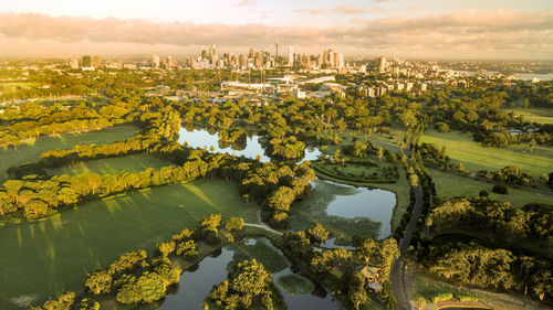 Aerial view of a city