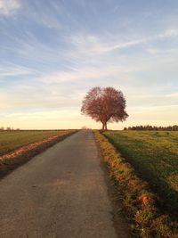 Dirt road by agricultural field against sky during sunset