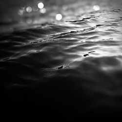 View of birds swimming in sea