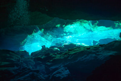 People swimming in sea