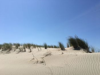 Panoramic view of sand dunes against clear sky