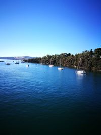 Scenic view of sea against clear blue sky