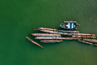 Aerial view of logs at beach