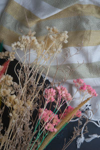 High angle view of flowering plants