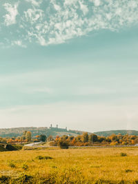 Scenic view of field against sky