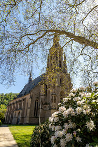 Low angle view of trees and building against sky