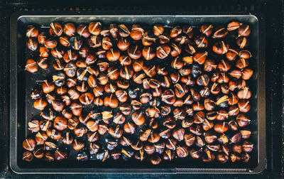 Directly above shot of food in tray