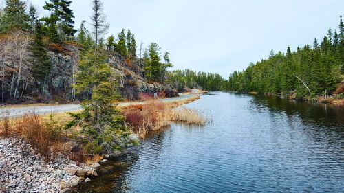 Scenic view of river in forest against sky